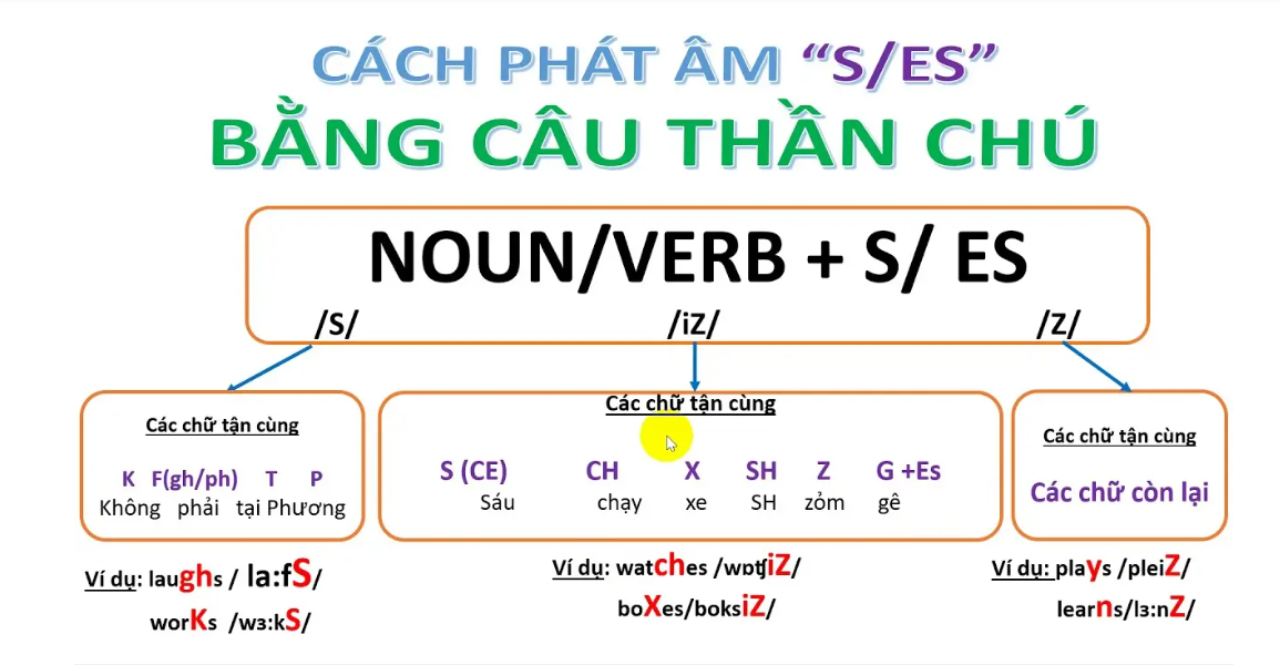 Mẹo học cách phát âm s, es, cực đơn giản, dễ nhớ bằng câu thần chú