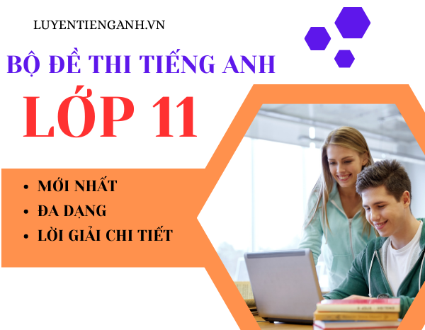 Lớp 11